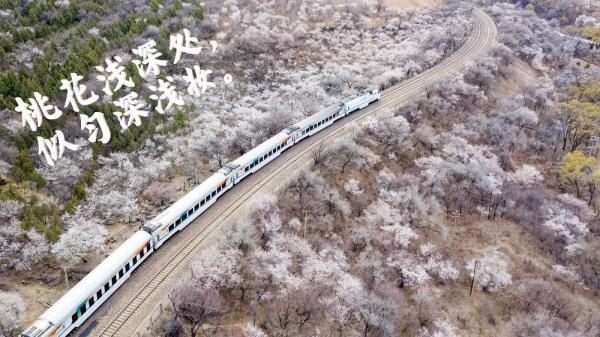 登上列车 驶入春天