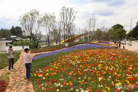 有一种叫云南的生活｜昆明世博园：漫步缤纷花海邂逅春日浪漫图片