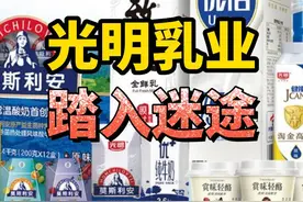 宅男财经|光明乳业“掉队”！业内专家直指三大关键问题图片