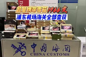 上海海关查获旅客超量携带雪茄1966支图片