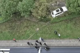 轿车制动失灵冲进绿化带，5招教你化险为夷图片