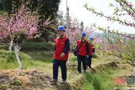 桃花盛开时 电力“春检”忙图片