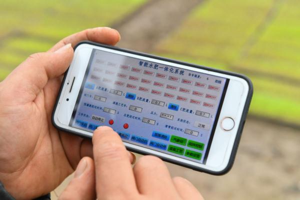 科技育苗助力春耕生产