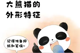 滚滚漫画 | 大熊猫的外形特征图片