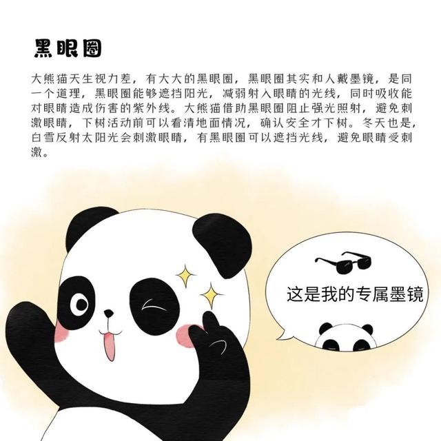 滚滚漫画 | 大熊猫的外形特征