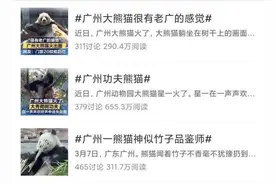 围观！广州动物园里“戏精”多图片