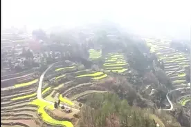 传统柴火黑豆腐图片