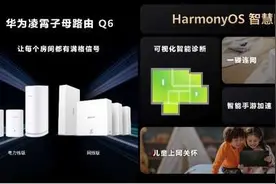 华为发布凌霄技术 突破传统组网形式图片