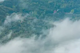 莆田遇上雨雾，瞬间美成了仙境！图片