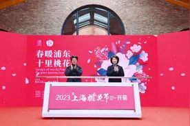 史上最大规模上海桃花节启幕，邮编201314的这个小镇同步推出国际相亲会图片