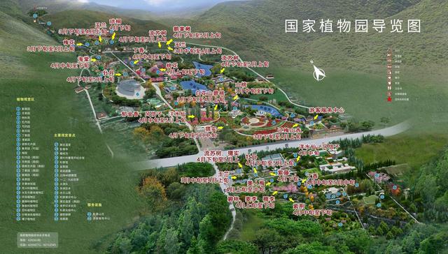 四十万春花扮靓国家植物园首届桃花观赏季