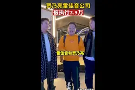 贾乃亮雷佳音公司被执行2.5万图片