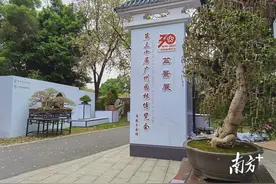 流花湖公园展出岭南盆景艺术，方寸之间见自然之美图片