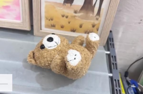 女生地摊套玩具熊，拆开发现摄像头！当事人：在卧室放了3个月