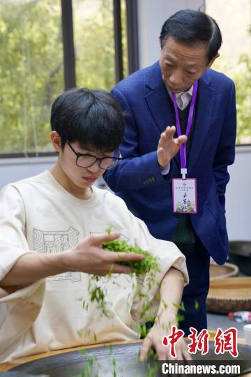 西湖龙井茶炒茶王大赛开赛 年轻人炒茶热情高