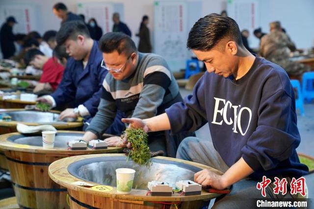 西湖龙井茶炒茶王大赛开赛 年轻人炒茶热情高