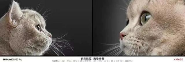 Coach�������ҵ�TABBY����棬Chopard����Happy��������ʱ��½