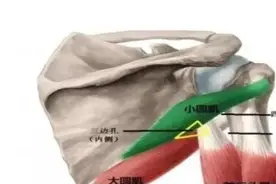 手麻上肢痛，都是“颈椎”问题吗？康复专家说点你不知道的图片