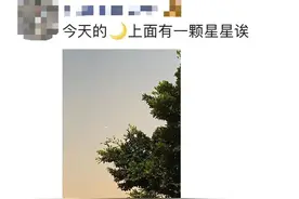 月掩金星！看海南网友拍下的夜空奇景图片