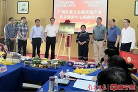 壮族五色糯米饭从“小作坊”走向“大产业”图片