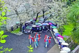 雨中樱花 舞蹈快闪图片