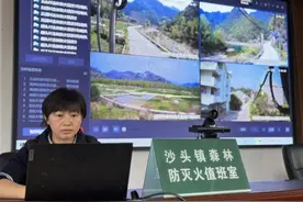 “森林眼”观六路 |中国电信温州分公司AI赋能守护绿水青山图片