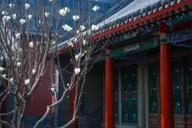 今年开花期可能提前！辽宁这些地方赏花打卡太美了图片