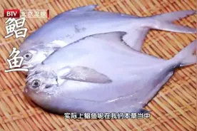 春天吃鱼，聪明人都选它！通经络、益气力，肉肥味鲜正当季！尤其适合老人小孩~图片