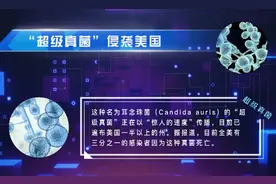 “超级真菌”侵袭美国，传播速度惊人，该怎么预防？图片