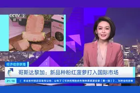 一个售价超250元！哥斯达黎加新品种粉红菠萝打入国际市场图片