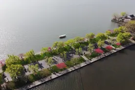 杭州阳光归来 桃红柳绿白堤岸图片