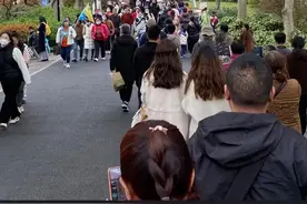 “所有人都出动了？”这是今天的杭州！导航堵成深红，家长崩溃：孩子还要考试呢图片