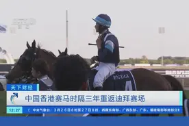 总奖金约2.1亿元！迪拜赛马世界杯举行，中国香港赛马重返赛场图片