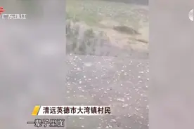 广东出现砖块大的冰雹！当地102间房屋受损图片