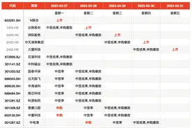 IPO周报｜主板注册制下首批新股迎申购，达美乐中国28日上市图片