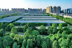 一举夺得三个“十强榜” 揭秘璧山招商引资背后的故事图片