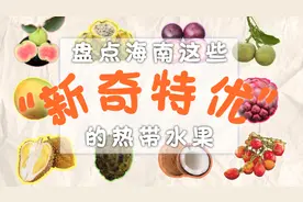 深读丨海南生“奇果”图片