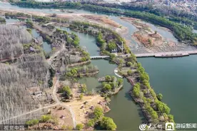 潍坊：弥河国家湿地公园风光图片