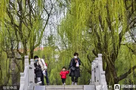 青州：洋溪湖畔垂柳依依 游客踏青赏景图片