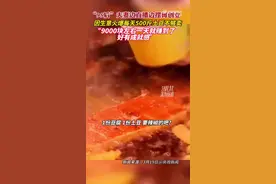 夫妻摆摊日入9184元被质疑  当事人回应图片