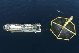 走胶济·一城记丨青岛，“龙头”高昂向未来图片