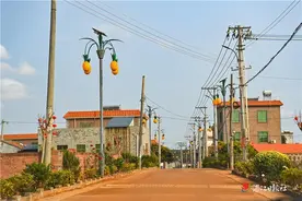 徐闻儒田村：建设美丽乡村 引领文明风尚图片