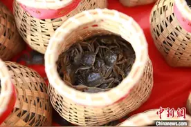 “南蟹北养”助力共富 浙江湖州大闸蟹“游”入长白山图片