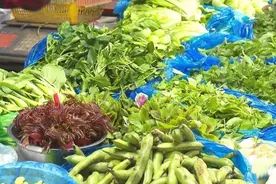 春日好食光，澳柯玛智酷冷柜给你满满鲜活力图片