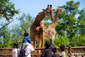 “超燃五一 乐游泉城”，快来济南纵情山水，体验乡村田园生活图片