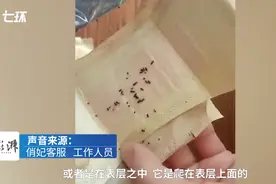头皮发麻！女子用卫生巾时发现大量发黑虫卵，官方最新回应！消费者如何避雷？图片