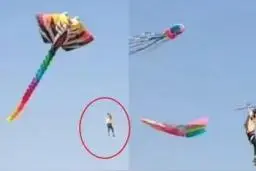 惊险！男子放30米巨型风筝被带上天图片