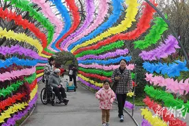 踏青游园乐悠悠图片