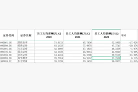券商降薪成色几何？国元证券薪酬降幅低于净利润下滑比例，招商证券人均薪酬减少30万图片