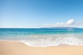 有剧毒，看到立即远离！浙江一地大量出现！图片